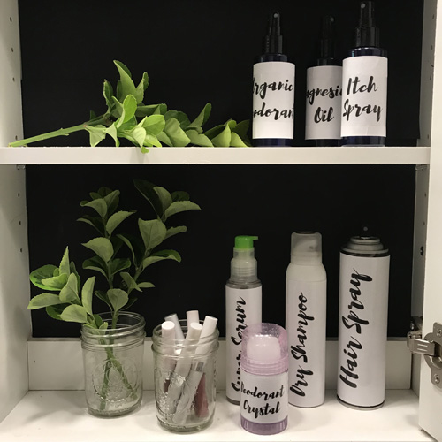 opened medicine cabinet with pretty bottle and greenery on the shelves